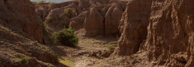 eemp_sitephoto_02.jpg