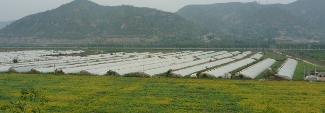 eemp_sitephoto_04.jpg