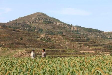 loess plateau after restoration meeting water expert mr. ta entire 15 years later_3751.jpg